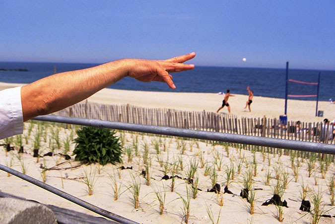 Shore gallery